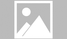 龙须树修剪视频,视频教程深度解读